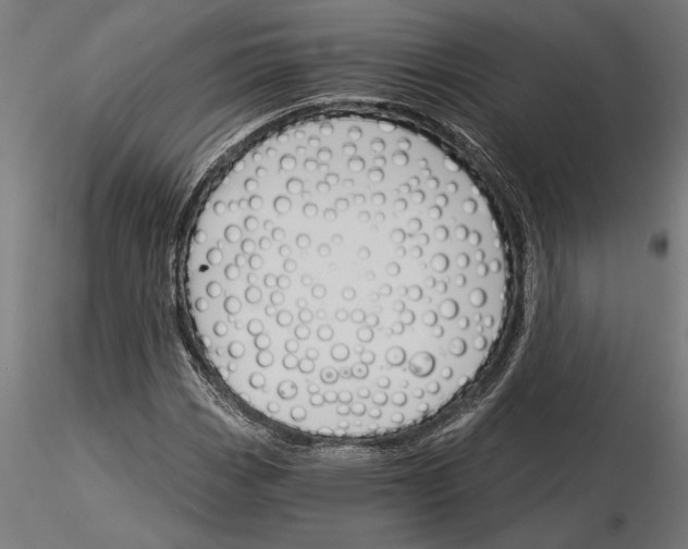 X0000115251113200912111110