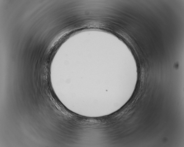 X0000115251115200912111110