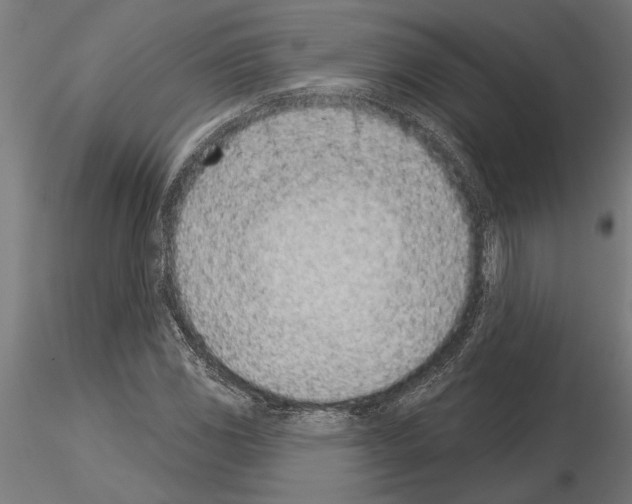 X0000115251117200912111110