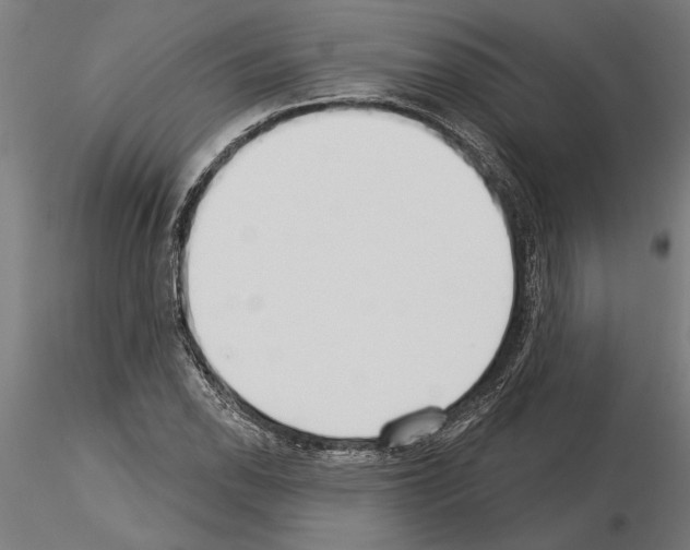 X0000115251118200912111110