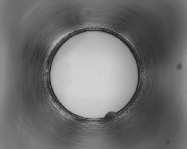 X0000115251119200912111110