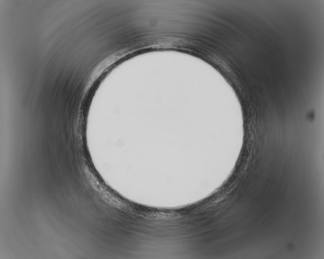 X0000115251122200912111110