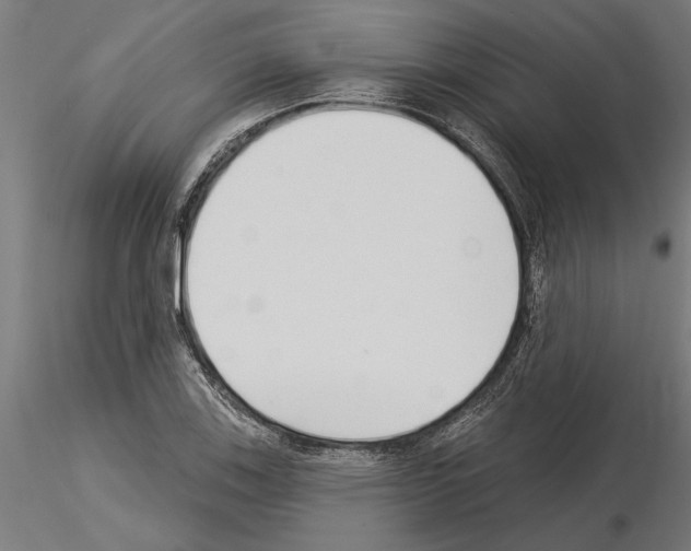 X0000115251123200912111110