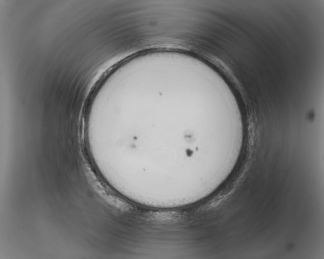 X0000115251125200912111110