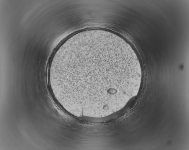 X0000115251127200912111111