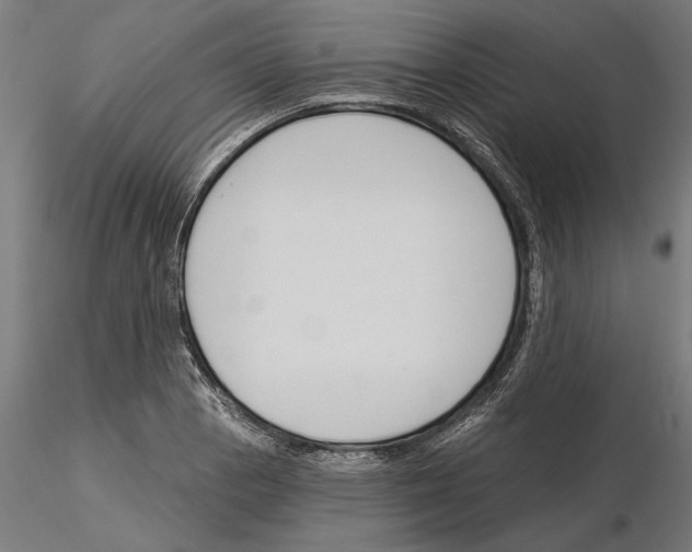 X0000115251129200912111111