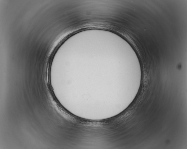 X0000115251131200912111111