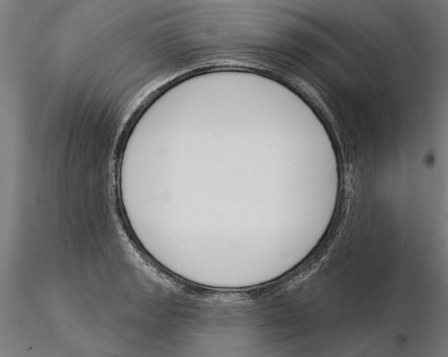 X0000115251133200912111111