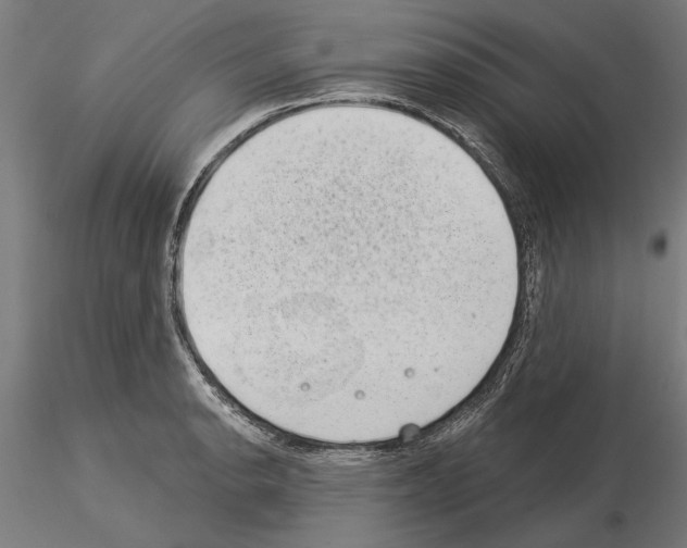 X0000115251134200912111111