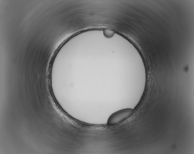 X0000115251135200912111111