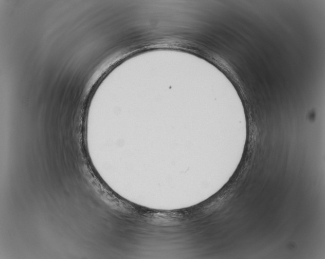 X0000115251138200912111111