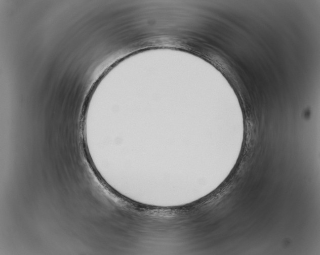 X0000115251141200912111111