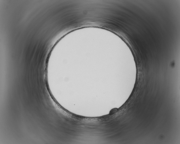 X0000115251143200912111111