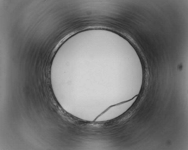 X0000115251145200912111111