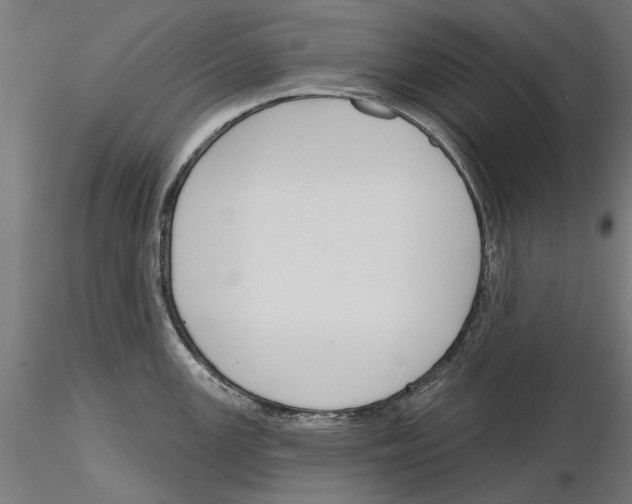 X0000115251147200912111111