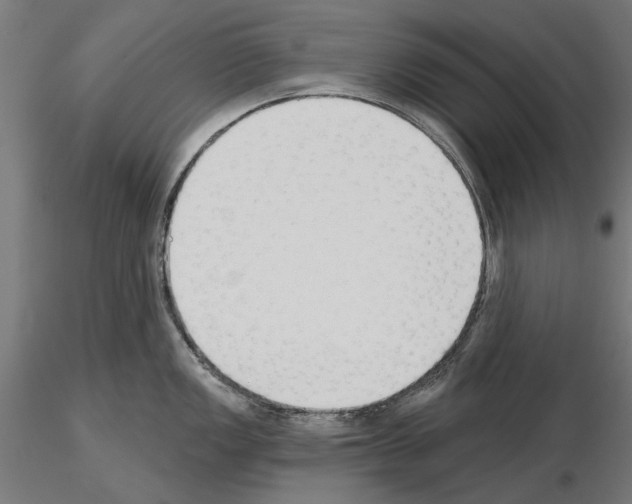 X0000115251149200912111111