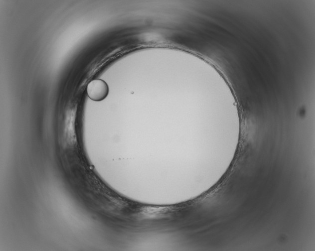 X0000115251150200912111111