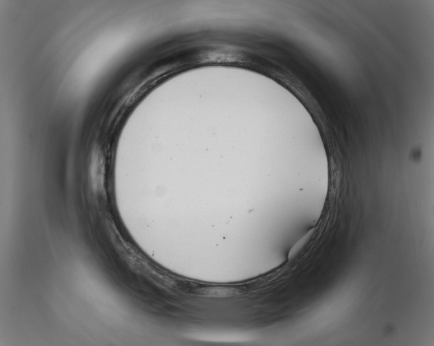 X0000115251151200912111111