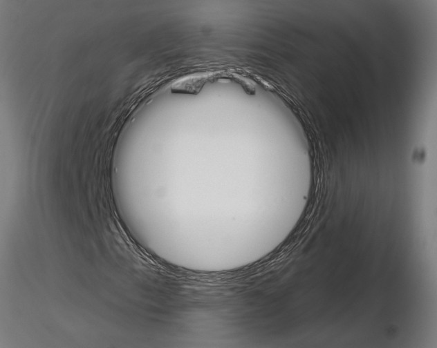 X0000115251153200912111110