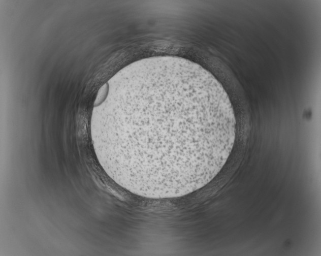 X0000115251154200912111110