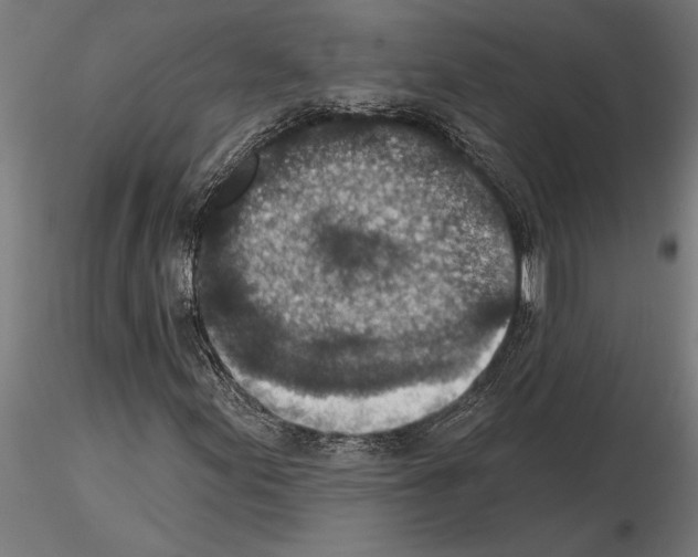 X0000115251155200912111110