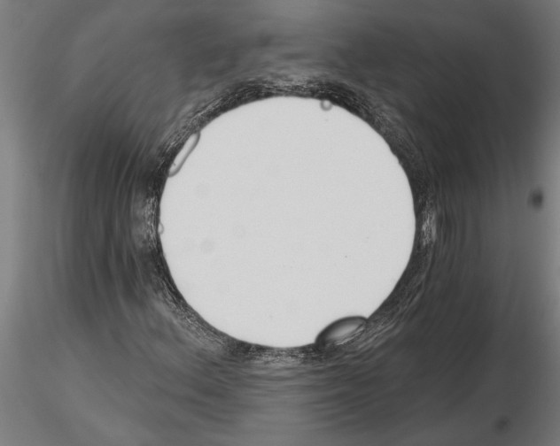 X0000115251156200912111110