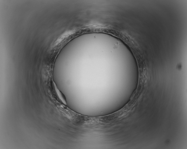 X0000115251157200912111110