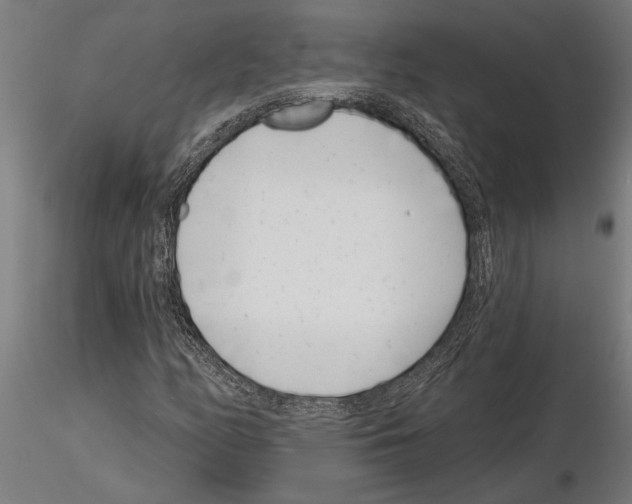 X0000115251158200912111110