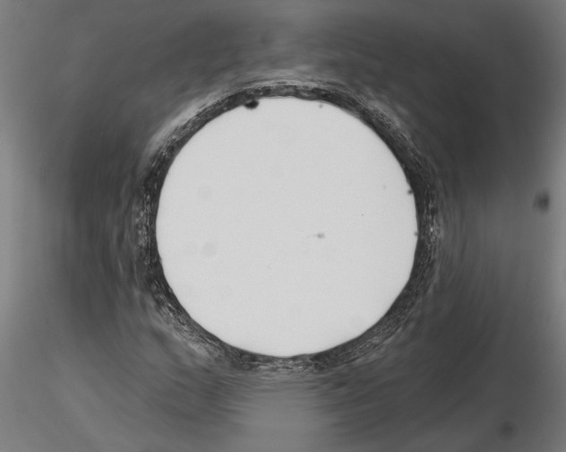 X0000115251159200912111110