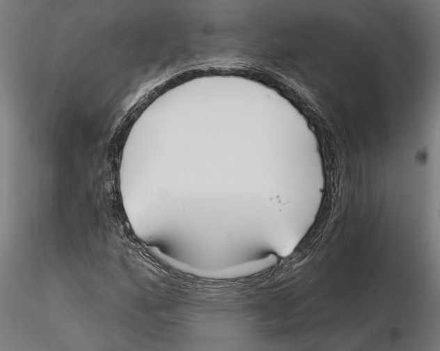 X0000115251160200912111110