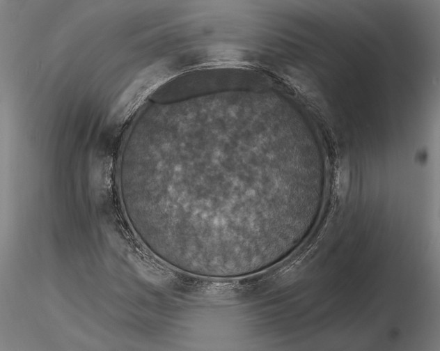 X0000115251161200912111110