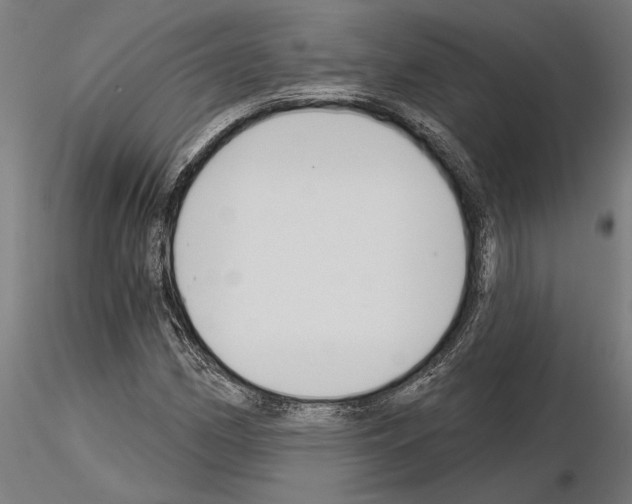 X0000115251162200912111110