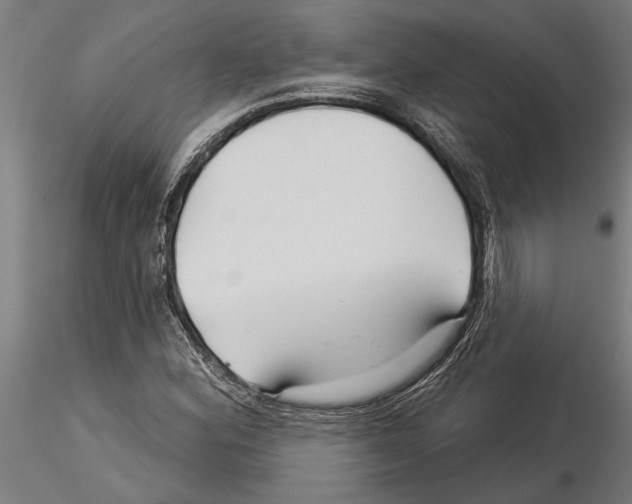 X0000115251164200912111110