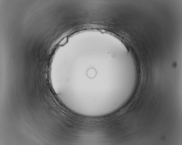 X0000115251165200912111110