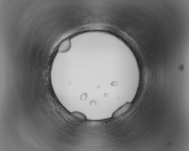 X0000115251166200912111110