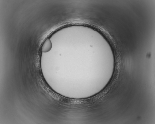 X0000115251167200912111110