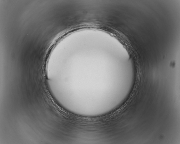 X0000115251168200912111110