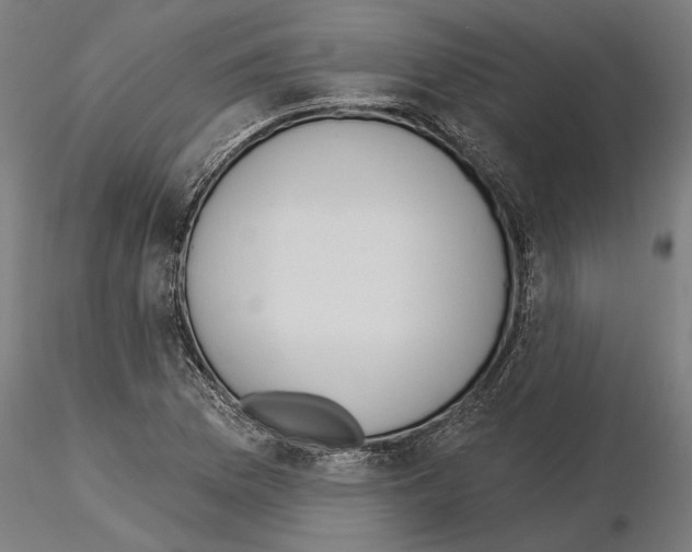 X0000115251169200912111110