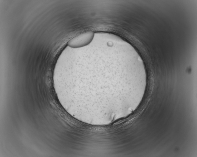 X0000115251170200912111110