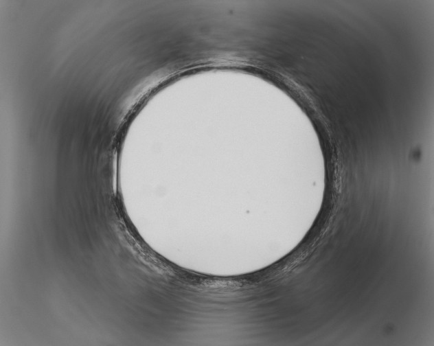 X0000115251171200912111110