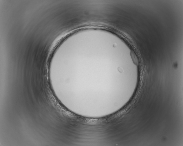 X0000115251172200912111110