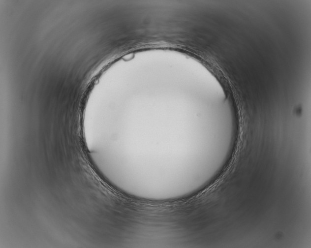 X0000115251173200912111110