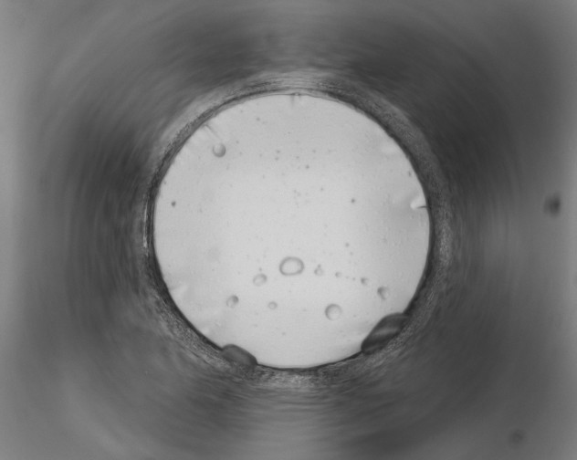 X0000115251174200912111110