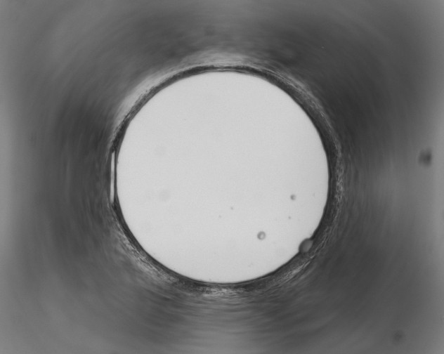 X0000115251175200912111110