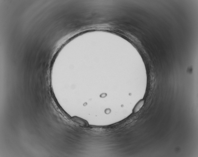 X0000115251176200912111110