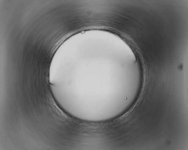 X0000115251177200912111110