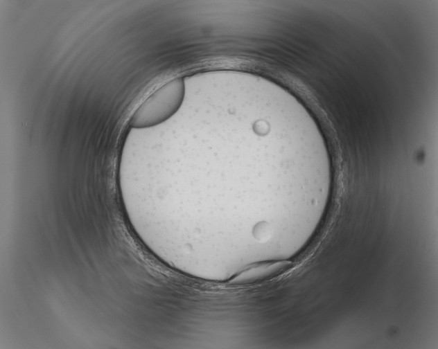 X0000115251178200912111110