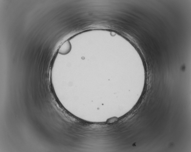 X0000115251179200912111110