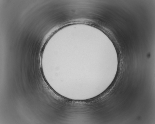 X0000115251180200912111110