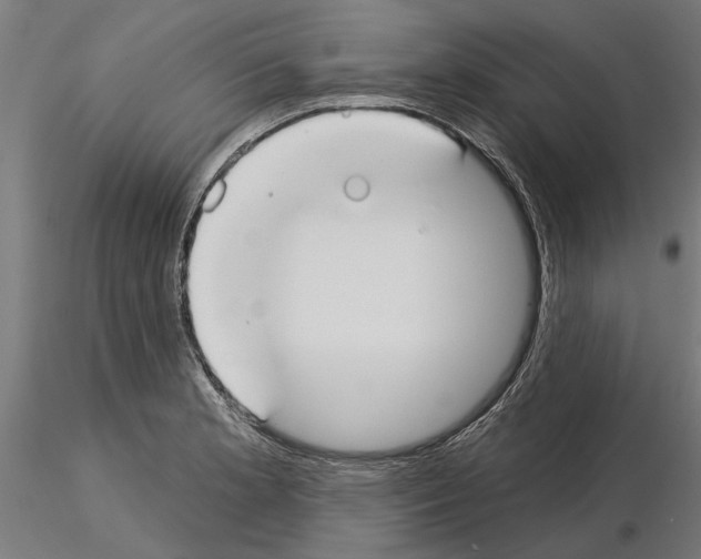 X0000115251181200912111110